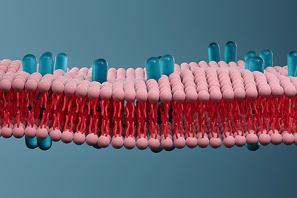 JPG 해외이미지 의학 세포 사람없음 파란색 3D 세포막 해외포토 포토 컬러 디지털합성 파일형식 이미지허브