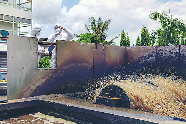 포토 JPG 해외이미지 직업 과학 장갑 건축양식 노동자 실험 두명 치료 물 견본 건강관리 장비 시험 의사 기구 업무 기술자 실험실 보호 질병 생명공학 컨테이너 수집 과학자 분석 측정 생물학 전자 감염 화학물질 해외포토 자연요소 잡화 교육 건축 산업 컨셉 의학 건강 관리 사람 의료진 작업 화학 학자 파일형식 이미지허브