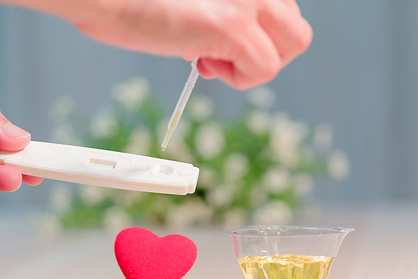 포토 JPG 해외이미지 손 응시 여자 행복 포즈 컨셉 2 가족 엄마 건강 사람 성인 사람없음 희망 놀람 임산부 임신 아기 잡기 결과 긍정 더블 방법 부정적 해외포토 시선 감정 관계 모션 표정 신체부위 파일형식 이미지허브