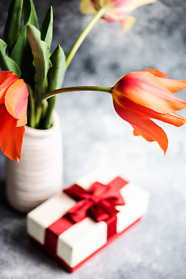 포토 JPG 해외이미지 회색배경 사람없음 아웃포커스 선물상자 꽃병 튤립 담기 해외포토 꽃 백그라운드 모션 촬영기법 선물 상자 회색 파일형식 이미지허브