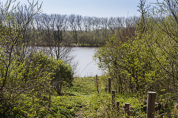 포토 JPG 해외이미지 나무 식물 길 꽃무늬 자연 하늘 날씨 풍경 사람없음 초록색 물 파란색 갈색 침묵 봄 시골 네덜란드 선로 해외포토 자연요소 계절 꽃 유럽 컬러 무늬 소리 생태계 파일형식 이미지허브