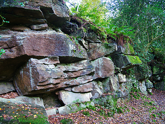 포토 JPG 해외이미지 공원 벽 여행 백그라운드 자연 이끼 풍경 사람없음 야외 초록색 환경 바위 숲 요크셔테리어 사암 내추럴 옛날 해외포토 공공시설 컬러 돌_바위 테리어 생태계 파일형식 이미지허브