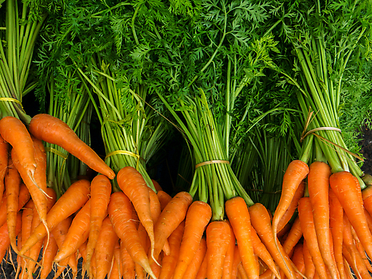 포토 JPG 해외이미지 식물 음료 음식 조각 농업 다이어트 채소 오렌지 과일 비즈니스 재료 자연 콩 감자 건강 손바닥 사람없음 초록색 식사 힘 주스 당근 에너지 성장 신선 시장 정크푸드 먹기 믹서 유기농 날것 뿌리 가치 내추럴 연소 오메가 채식주의자 해외포토 손 웰빙 산업 컬러 모션 곡류 뿌리채소 생태계 채식 파일형식 이미지허브