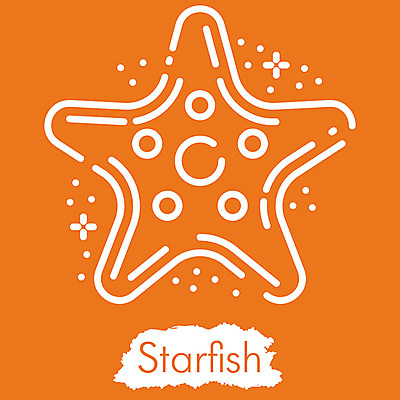 포토 JPG 해외이미지 디자인 계절 선 모래 파도 바다 섬 여행 일러스트 휴가 휴식 불가사리 미술 취미 해변 사람없음 야외 그래픽 여름 수확 뜨거움 화려 낙서 스케치 심볼 오브젝트 사인 그림 윤곽 고립 엘리먼트 스타일 해외일러스트 컨셉 농업 문화예술 극피동물 파일형식 이미지허브