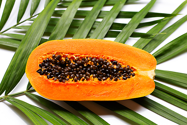 포토 JPG 해외이미지 단면 실내 씨앗 사람없음 열대과일 흰배경 야자수잎 파파야 해외포토 식물 백그라운드 잎 과일 내부 흰색 파일형식 이미지허브