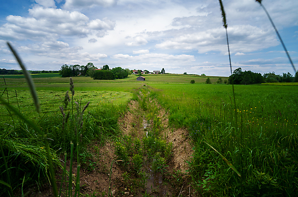 포토 JPG 해외이미지 나무 구름 공원 꽃 도로 길 여행 백그라운드 밭 자연 하늘 날씨 풍경 사람없음 야외 초록색 여름 파란색 햇빛 환경 맑음 봄 산책 트래킹 하이킹 시골 시간 숲 오솔길 땅 언덕 조경 굴곡 방법 양발 수평선 해외포토 자연요소 식물 계절 공공시설 컬러 농업 교통시설 레저 휴식 태양 생태계 파일형식 이미지허브