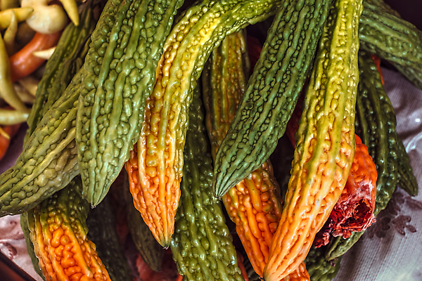 포토 JPG 해외이미지 식물 계절 음식 줄기 백그라운드 잎 농업 채소 오렌지 과일 자연 호박 휴가 건강 사람없음 목재 장식 초록색 컬러풀 농장 노란색 정원 축제 미니어처 할로윈 수확 가을 흰색 신선 작음 11월 오브젝트 유기농 질감 날것 박 추수감사절 스쿼시 10월 내추럴 고립 숙성 해외포토 나무 웰빙 산업 기독교 스포츠 컬러 재료 구기 모형 날짜 크기 생태계 파일형식 이미지허브