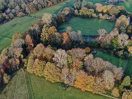 포토 JPG 해외이미지 나무 영국 잉글랜드 안테나 그림자 풍경 사람없음 초록색 태양 맑음 시골 저녁 삼림지대 조감도 해외포토 자연요소 식물 유럽 컬러 통신 날씨 야간 숲 파일형식 이미지허브