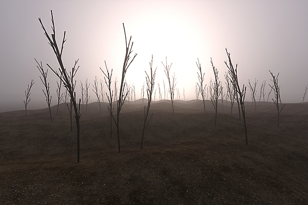 포토 JPG 해외이미지 나무 여행 백그라운드 패턴 자연 하늘 아침 날씨 산 풍경 사람없음 야외 햇빛 태양 3D 우주 환경 침묵 하이킹 자유 탐험 안개 가을 나뭇가지 잡기 떨어짐 신비 질감 암초 흐림 내추럴 묘목 벌거벗은 스타일 해외포토 주간 자연요소 식물 계절 컨셉 무늬 모션 레저 소리 디지털합성 생태계 파일형식 이미지허브