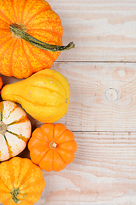 포토 JPG 해외이미지 음식 채소 오렌지 탁자 호박 휴가 사람없음 목재 장식 줄무늬 수확 가을 흰색 시골 11월 머리위 추수감사절 10월 식용 정물화 카피스페이스 해외포토 나무 계절 기독교 컬러 가구 무늬 농업 과일 재료 공백 날짜 그림 파일형식 이미지허브