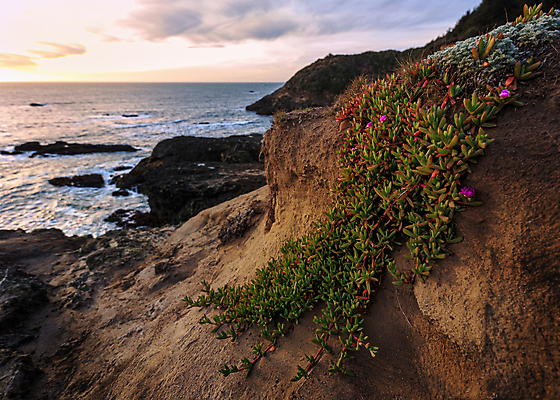 포토 JPG 해외이미지 구름 파도 바다 섬 백그라운드 오렌지 자연 하늘 아침 산 풍경 사람없음 야외 물 여름 파란색 햇빛 태양 반사 일출 보라색 침묵 일몰 수확 오픈 황금 건초더미 저녁 캘리포니아 태평양 대포 넘어짐 수평선 해외포토 주간 자연요소 계절 무기 컬러 농업 과일 모션 노을 미국 소리 건초 야간 생태계 파일형식 더미 이미지허브