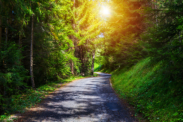포토 JPG 해외이미지 나무 도로 길 여행 백그라운드 컨셉 곡선 교통시설 자동차 자연 산 거리 풍경 사람없음 야외 초록색 이탈리아 운전 시골 고속도로 숲 오솔길 아스팔트 속도 알프스 통과 굴곡 길가 루트 웅장함 인기 절정 해외포토 식물 유럽 선 육상교통 컬러 교통 모션 시설 생태계 파일형식 이미지허브