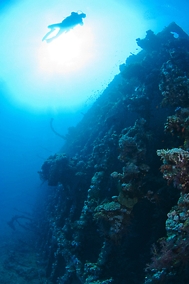 포토 JPG 해외이미지 실루엣 바다 한명 성인 수중 스노클링 잠수부 성인한명만 해외포토 1 촬영기법 사람 수상스포츠 전문직 성인만 파일형식 이미지허브