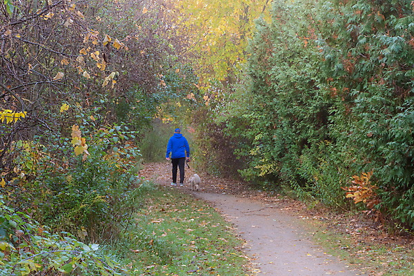 포토 JPG 해외이미지 나무 동물 라이프스타일 공원 잎 자연 아침 사람 풍경 사람없음 야외 초록색 여름 반려동물 햇빛 태양 일출 침묵 산책 가을 개 숲 속도 삼림지대 해외포토 주간 자연요소 식물 계절 공공시설 컬러 포유류 휴식 생활 노을 소리 생태계 파일형식 이미지허브