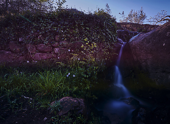 포토 JPG 해외이미지 식물 선 잎 모션 자연 이끼 풍경 사람없음 야외 목재 초록색 물 강 평화 귀여움 환경 폭포 촉촉함 흐름 안개 바위 시골 신선 만 개울 떨어짐 숲 실크 순수 묘사 부식 생태계 장면 내추럴 생태학 이국적 추출 파라다이스 현재 해외포토 자연요소 나무 교육 컬러 컨셉 재료 날씨 젖음 직물 파일형식 이미지허브