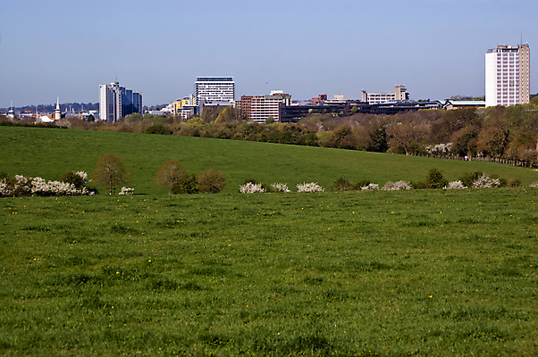포토 JPG 해외이미지 외관 밭 아파트 사람없음 야외 가로 초록색 사무실 고층빌딩 봄 타운 스카이라인 카피스페이스 해외포토 계절 컬러 농업 비즈니스 주택 빌딩 공백 도시 파일형식 이미지허브