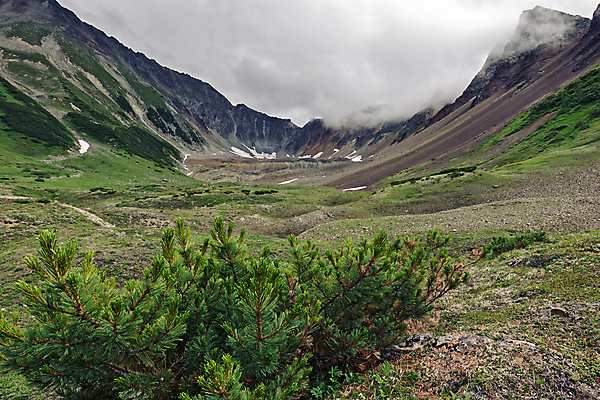포토 JPG 해외이미지 식물 구름 계절 여행 자연 날씨 산 풍경 사람없음 야외 초록색 여름 환경 하이킹 숲 언덕 그림 생태계 안심 상록수 산봉우리 원뿔 흐림 내추럴 산악지대 절정 지질학 산맥 해외포토 자연요소 도형 교육 컬러 레저 육류 봉우리 파일형식 이미지허브