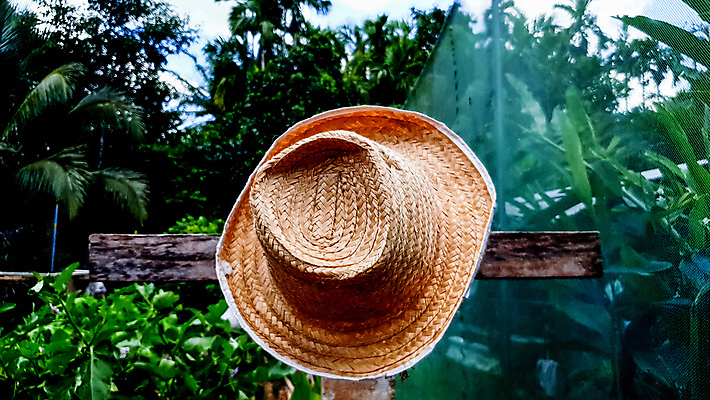 포토 JPG 해외이미지 바다 백그라운드 휴가 휴식 집게 손바닥 사람없음 야외 가로 파란색 컬러풀 햇빛 태양 유행 스크린 수확 흰색 직물 닫기 호주 보호 빨랫줄 자르기 싱글 휴양지 밀짚모자 데이지 심플 강렬 웅장함 스타일 수평선 카피스페이스 미니멀리스트 미니멀 해외포토 자연요소 모자_잡화 손 꽃 줄 컬러 컨셉 농업 모션 공백 장소 오세아니아 파일형식 이미지허브