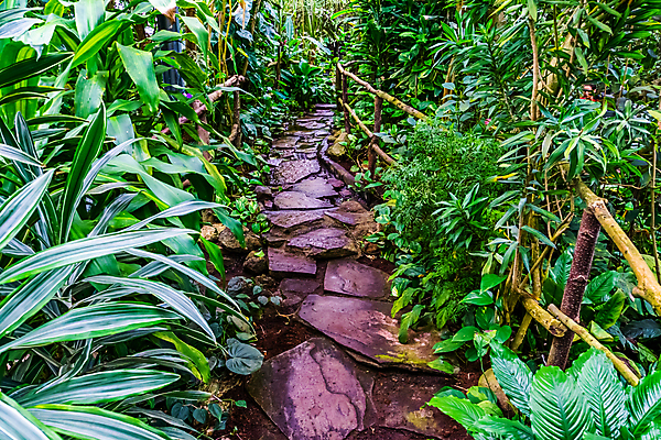 포토 JPG 해외이미지 나무 식물 디자인 아시아 도로 길 모래 백그라운드 잎 건축양식 자연 종류 동양인 풍경 사람없음 장식 초록색 물 모래사장 걷기 정원 미국 산책 흐름 바위 개울 숲 오솔길 원예 장면 암초 상록수 내추럴 뒤뜰 방법 선로 이국적 해외포토 자연요소 건축 나라 바다 컬러 컨셉 북아메리카 교통시설 모션 휴식 인종 취미 강 돌_바위 생태계 파일형식 이미지허브