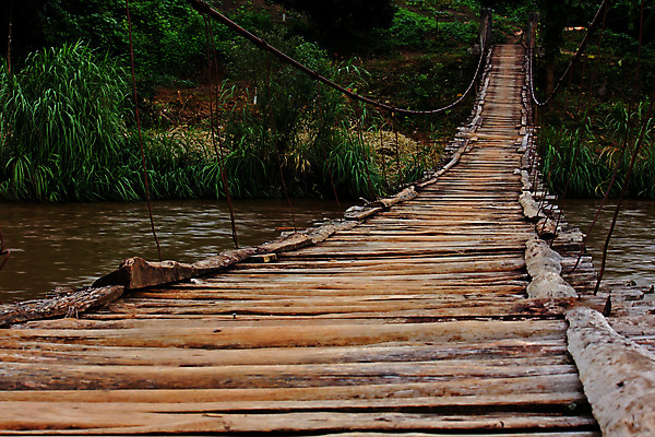 포토 JPG 해외이미지 나무 식물 계절 공원 길 밧줄 여행 백그라운드 십자가 잎 밭 자국 자연 산 바닥 풍경 사람없음 목재 초록색 컬러풀 환경 봄 트래킹 도전 가을 구멍 널 숲 위험 철사 단계 단절 루트 방법 생태학 해외포토 공공시설 교육 줄 컬러 컨셉 농업 재료 레저 생태계 파일형식 이미지허브