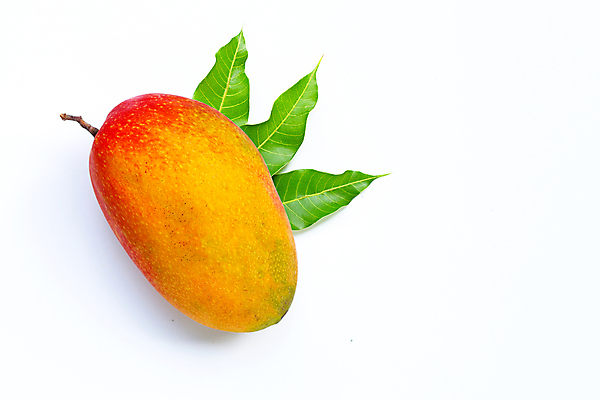 포토 JPG 해외이미지 잎 실내 사람없음 한개 열대과일 흰배경 망고 애플망고 해외포토 식물 1 백그라운드 과일 내부 흰색 파일형식 이미지허브