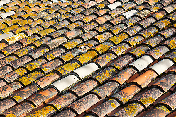 포토 JPG 해외이미지 전통 디자인 외관 유럽 선 백그라운드 패턴 오렌지 건축양식 지붕 추상 주택 프레임 기술 사람없음 야외 빨간색 햇빛 맑음 줄무늬 덮개 거친 재산 닫기 보호 정상 옥상 타일 묘사 심플 장면 방패 타운 그런지 진짜 스타일 정확 해외포토 건축 나라 컬러 컨셉 무늬 과일 모션 날씨 건물 금융 태양 뚜껑 도시 파일형식 이미지허브