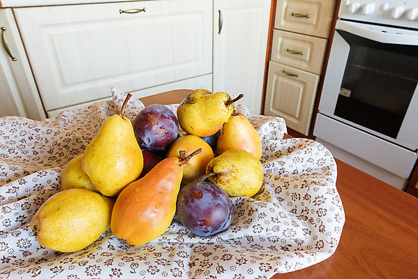 포토 JPG 해외이미지 계절 음식 백그라운드 오렌지 과일 자연 탁자 디저트 건강 사람없음 빨간색 초록색 여름 파란색 수건 노란색 주방 가을 흰색 신선 그룹 달콤 제비꽃 유기농 냅킨 날것 자두 내추럴 숙성 채식주의자 해외포토 웰빙 꽃 컬러 가구 위생용품 맛 생태계 채식 파일형식 이미지허브