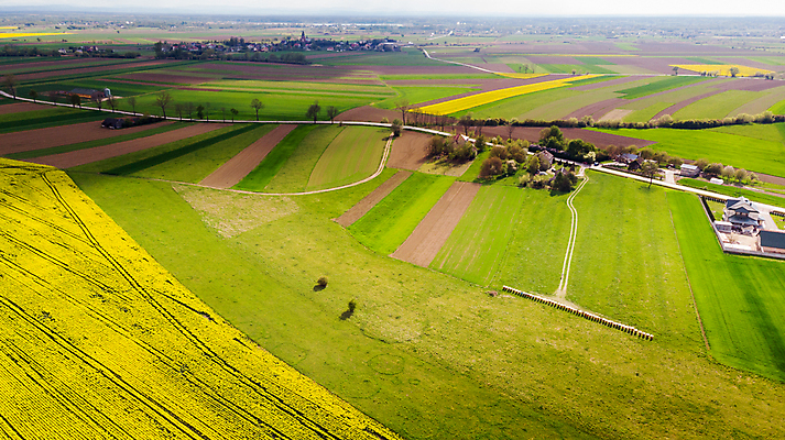 포토 JPG 해외이미지 직업 전통 음식 농업 자연 프레임 건강 풍경 사람없음 야외 목재 여름 상자 농장 노란색 봄 시골 꿀벌 수분 벌 유채 유기농 꽃가루 꿀 벌집 내추럴 드론 바이오 밭일 생태학 식민지 양봉 양봉장 조감도 카놀라 해외포토 나무 웰빙 계절 교육 꽃 산업 컬러 곤충 재료 벌_곤충 가루 생태계 파일형식 이미지허브