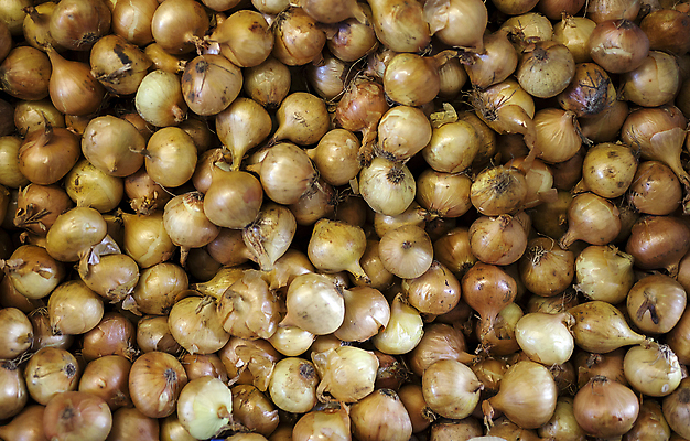 포토 JPG 해외이미지 잡화 아시아 음식 백그라운드 농업 채소 재료 전구 양파 요리 동양인 사람없음 가로 농작물 갈색 식사 저녁식사 이탈리아 신선 닫기 작음 굽기 향신료 유기농 질감 날것 피클 레시피 건강식 밭일 채식주의자 샬롯 비건 해외포토 웰빙 유럽 나라 산업 컬러 모션 인종 크기 구이 채식 절임 향미료 파일형식 이미지허브