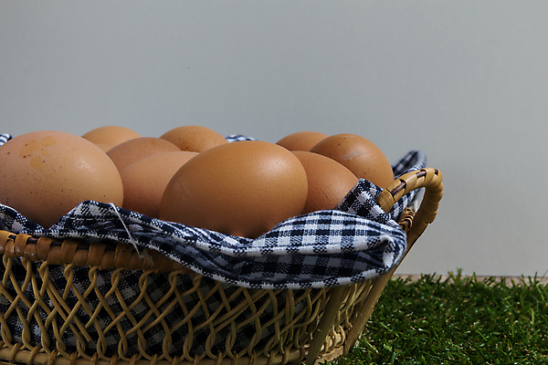포토 JPG 해외이미지 음식 백그라운드 재료 자연 부활절 건강 요리 사람없음 농장 갈색 노란색 계란 치킨 껍질 흰색 신선 그룹 아침식사 먹기 유기농 날것 내추럴 단백질 생식 취급주의 해외포토 웰빙 기념일 컬러 농업 모션 경고 알 식사 생태계 닭고기요리 영양소 파일형식 이미지허브