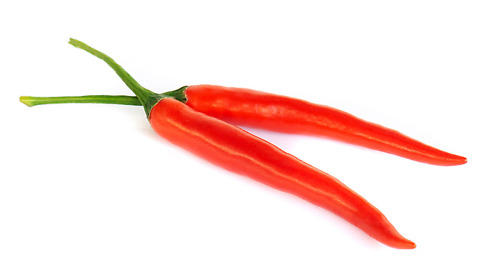 포토 JPG 해외이미지 식물 음식 백그라운드 채소 재료 고추 건강 사람없음 빨간색 초록색 흰색 신선 뜨거움 향신료 유기농 매움 후추 고립 할라피뇨 해외포토 웰빙 컬러 맛 향미료 파일형식 이미지허브