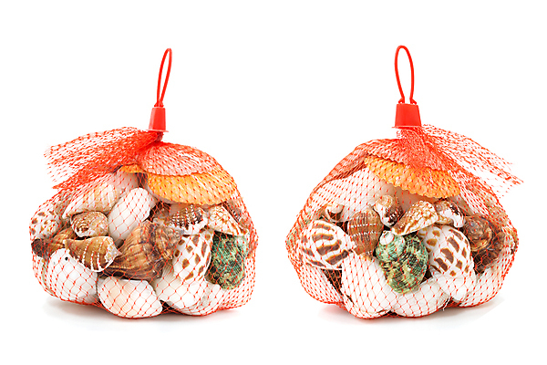 포토 JPG 해외이미지 밧줄 음식 바다 백그라운드 패턴 자연 조개 항해 어류 사람없음 장식 빨간색 컬러풀 웹 껍질 흰색 시골 잡기 그물 수집 질감 고립 해외포토 줄 컬러 무늬 인터넷 배_교통 모션 어패류 수중동물 생태계 파일형식 이미지허브