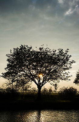 포토 JPG 해외이미지 호수 독일 사람없음 물 노란색 일몰 새벽 가을 황금 저녁 10월 해외포토 자연요소 계절 유럽 컬러 노을 날짜 야간 파일형식 이미지허브