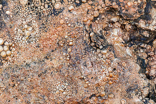 포토 JPG 해외이미지 모양 전통 디자인 바다 백그라운드 컨셉 패턴 자연 벽지 표면 추상 사람없음 야외 장식 여름 빛 강 태양 쌓기 정원 검은색 회색 조약돌 바위 흰색 원형 거친 닫기 매끈함 작음 묘사 질감 내추럴 고립 해외포토 자연요소 도형 계절 컬러 무늬 모션 돌_바위 감각 크기 생태계 파일형식 이미지허브