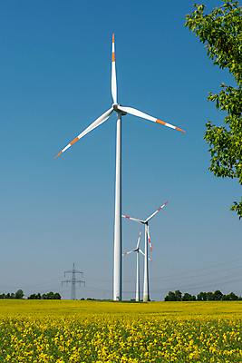 포토 JPG 해외이미지 식물 꽃 농업 자연 바람 사람없음 농작물 글로벌 농장 노란색 환경 힘 발전기 에너지 벚꽃 바퀴 개화 그린에너지 낟알 시리얼 유채 엔진 유지 온실 효과 해외포토 자연요소 산업 음식 컬러 날씨 발전소 생태계 파일형식 이미지허브