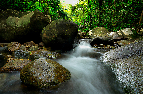 포토 JPG 해외이미지 나무 식물 공원 아시아 여행 백그라운드 잎 태국 자연 휴가 휴식 산 풍경 사람없음 야외 초록색 물 여름 빛 강 환경 폭포 흐름 가을 바위 신선 개울 수증기 숲 열대우림 천국 내추럴 전국 파라다이스 그리너리 해외포토 자연요소 계절 공공시설 나라 컬러 컨셉 생태계 파일형식 트랜드컬러 이미지허브