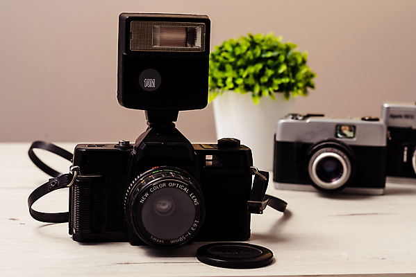 포토 JPG 해외이미지 식물 화분 실내 사람없음 빈티지 오브젝트 복고 스트로보 필름카메라 갈색배경 해외포토 백그라운드 컨셉 내부 갈색 카메라 파일형식 이미지허브