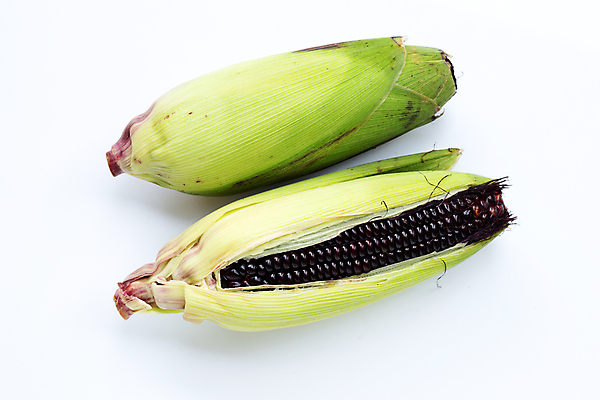 포토 JPG 해외이미지 실내 옥수수 사람없음 두개 흰배경 옥수수껍질 흑찰옥수수 해외포토 백그라운드 2 곡류 내부 껍질 흰색 찰옥수수 파일형식 이미지허브