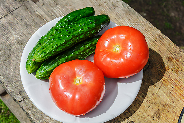 포토 JPG 해외이미지 전통 그릇 식기 접시 계절 음식 조각 농업 토마토 채소 재료 휴가 오이 건강 사람없음 빨간색 초록색 여름 소풍 식당 식사 카페 샐러드 흰색 축하 신선 맛 유기농 질감 날것 주말 내추럴 점심식사 오이피클 채식주의자 핸드메이드 해외포토 웰빙 산업 컬러 컨셉 야외활동 상점 채식 피클 파일형식 이미지허브