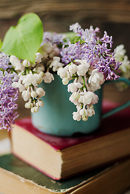 포토 JPG 해외이미지 실내 사람없음 아웃포커스 책 물뿌리개 라일락 해외포토 꽃 촬영기법 내부 파일형식 이미지허브