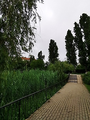 포토 JPG 해외이미지 나무 식물 공원 길 얼굴 백그라운드 밭 벤치 하늘 거리 사랑 서기 사람 사람없음 야외 건물 옆모습 초록색 노트북 울타리 강 사무실 걷기 정원 기차 승차 숲 큼 언덕 사인 온라인 고립 선로 해외포토 건축물 공공시설 감정 육상교통 뷰포인트 컬러 농업 의자 비즈니스 모션 대중교통 신체부위 전자제품 담장 크기 파일형식 이미지허브