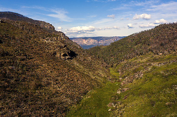 포토 JPG 해외이미지 나무 식물 구름 공원 모래 잎 자연 하늘 불 산 풍경 사람없음 야외 초록색 파란색 갈색 환경 검은색 흙 나뭇가지 시골 호주 숲 언덕 질감 먼지 지역 내추럴 땅바닥 오지 치유 해외포토 자연요소 공공시설 컬러 바닥 오세아니아 생태계 파일형식 이미지허브