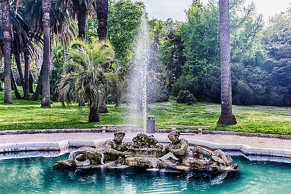 포토 JPG 해외이미지 나무 공원 꽃 분홍색 잎 자연 사람없음 빨간색 초록색 정원 봄 이탈리아 도시 로마 4월 기념물 해외포토 식물 계절 공공시설 유럽 컬러 날짜 생태계 파일형식 이미지허브