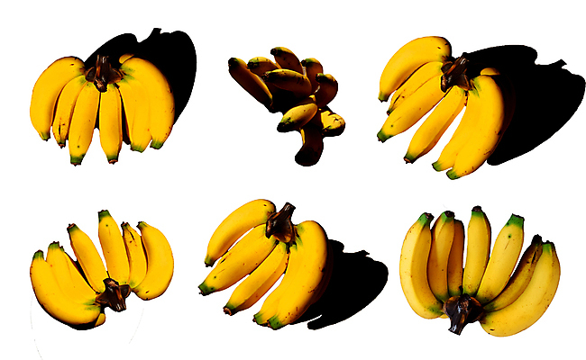 포토 JPG 해외이미지 디자인 음식 분홍색 백그라운드 컨셉 패턴 다이어트 과일 부분 자연 벽지 추상 아이디어 바나나 건강 그림자 사람없음 장식 가로 파란색 컬러풀 노란색 신선 그룹 달콤 맛 상쾌 유기농 질감 레이아웃 복고 강렬 숙성 이국적 채식주의자 파스텔톤 스타일 많음 미니멀 해외포토 웰빙 감정 컬러 무늬 생태계 채식 파일형식 이미지허브