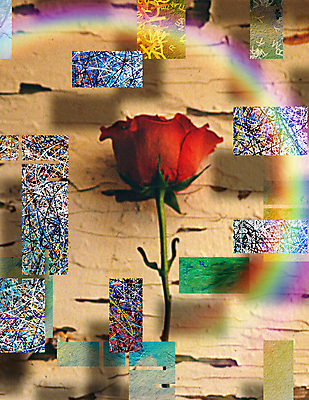 포토 JPG 해외이미지 모양 식물 꽃잎 꽃 실루엣 벽 백그라운드 잎 꽃무늬 패턴 일러스트 부분 자연 추상 그림자 사랑 미술 사람없음 그래픽 장식 빨간색 여름 단어 장미 페인트 봄 블록 수확 벚꽃 점 그리기 가시 영혼 균열 싱글 그림 질감 복고 열정 직사각형 구성 그런지 스타일 해외포토 도형 문자 계절 감정 컬러 무늬 농업 모션 문화예술 촬영기법 생태계 파일형식 이미지허브