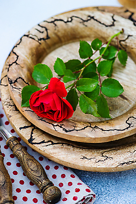 포토 JPG 해외이미지 잎 회색배경 사람없음 장미 나무접시 해외포토 식물 접시 꽃 백그라운드 회색 파일형식 이미지허브