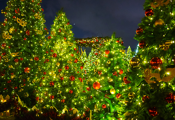 포토 JPG 해외이미지 나무 디자인 음악 백그라운드 크리스마스 겨울 추상 휴가 조명 새로움 거리 사람없음 야외 건물 장식 빨간색 빛 축제 도시 도쿄 야간 소프트포커스 연도 보케 빛망울 부다페스트 블러 해외포토 자연요소 식물 건축물 계절 기념일 컬러 컨셉 무늬 문화예술 촬영기법 일본 헝가리 파일형식 이미지허브