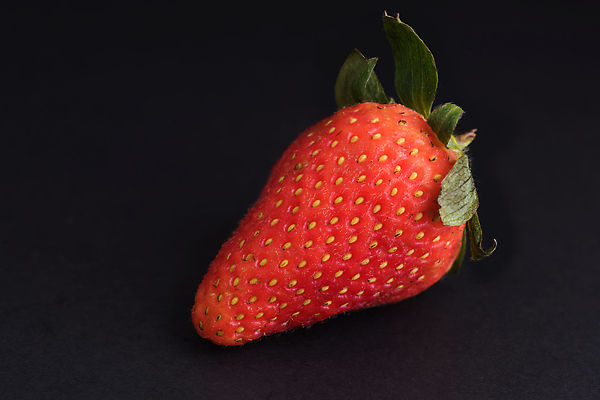 포토 JPG 해외이미지 열매 음식 백그라운드 과일 딸기 디저트 건강 미술 사람없음 빨간색 초록색 우주 검은색 칠판 어둠 신선 그룹 달콤 맛 유기농 날것 내추럴 숙성 채식주의자 해외포토 식물 웰빙 컬러 컨셉 문화예술 채식 파일형식 이미지허브