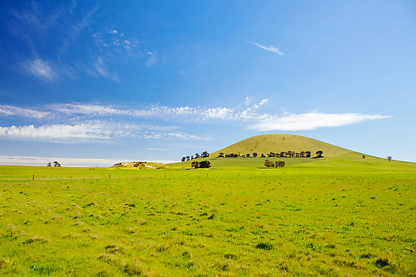 포토 JPG 해외이미지 나무 식물 구름 계절 꽃 음식 꽃무늬 밭 농업 채소 자연 하늘 풍경 사람없음 초록색 파란색 농작물 농장 노란색 환경 맑음 봄 성장 벚꽃 시골 황금 호주 땅 유채 내추럴 땅바닥 방목장 밭일 카놀라 수평선 세련 해외포토 자연요소 산업 컬러 무늬 날씨 바닥 오세아니아 생태계 파일형식 이미지허브