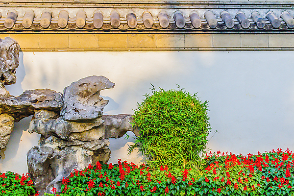 포토 JPG 해외이미지 식물 디자인 외관 꽃 벽 분홍색 백그라운드 잎 꽃무늬 패턴 건축양식 자연 벽돌 거리 주택 프레임 사람없음 야외 건물 장식 빨간색 초록색 여름 울타리 장미 정원 봄 수확 골동품 벚꽃 바위 흰색 경계선 개화 관목 원예 질감 복고 타운 석고 옛날 카피스페이스 해외포토 나무 건축물 계절 건축 선 컬러 무늬 농업 취미 담장 공백 돌_바위 도시 경계 생태계 파일형식 이미지허브